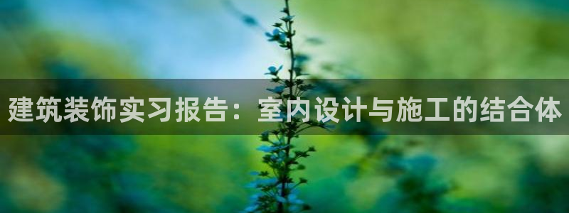 顺盈娱乐最高代理是谁啊