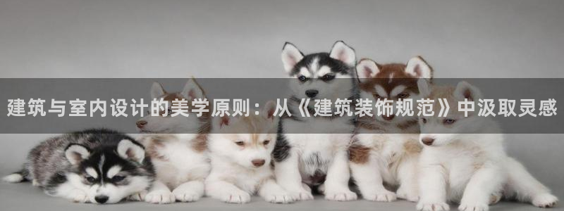 清远顺盈娱乐公司