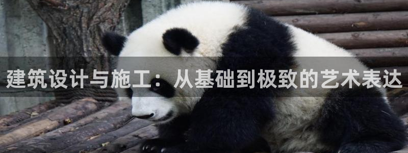 盈顺休闲娱乐室：建筑设计与施工：从基础到极致的艺术表达