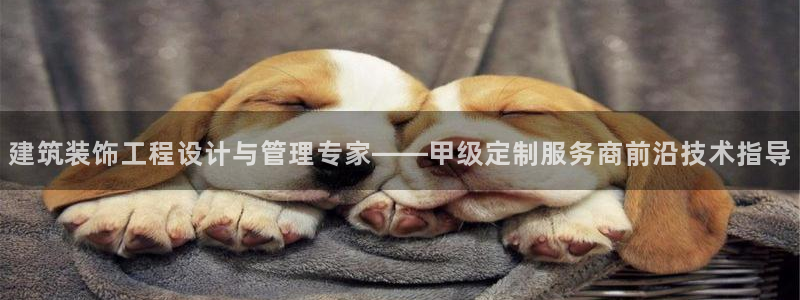 顺盈平台娱乐