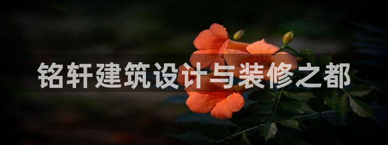 顺盈娱乐姜333OO