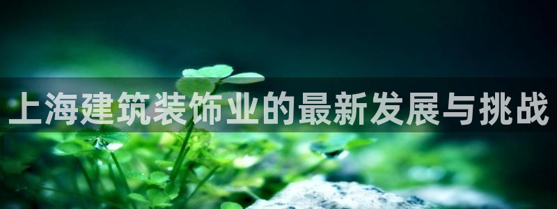顺盈娱乐市究7276O