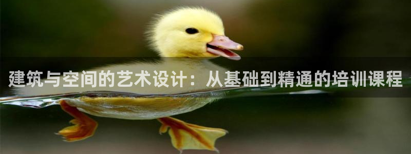 清远顺盈娱乐城