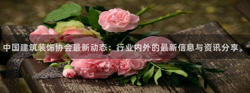 顺盈娱乐主管欲新判官333OO