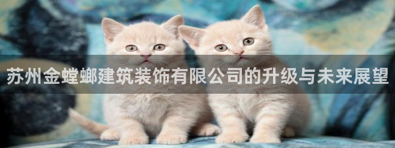 清远顺盈娱乐
