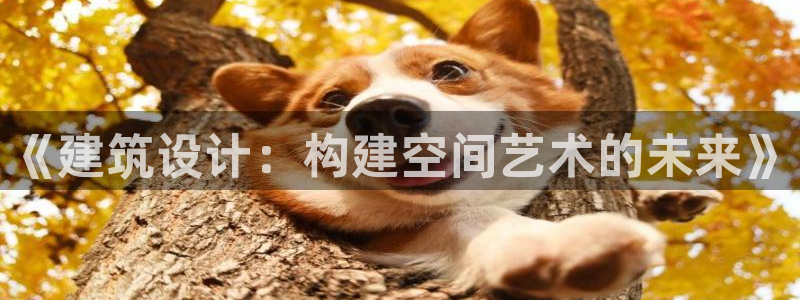 顺盈娱乐棋牌官网地址