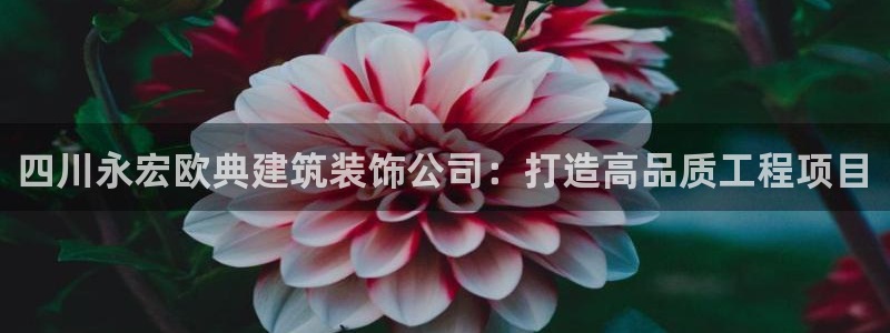 顺盈娱乐彩票官网查询