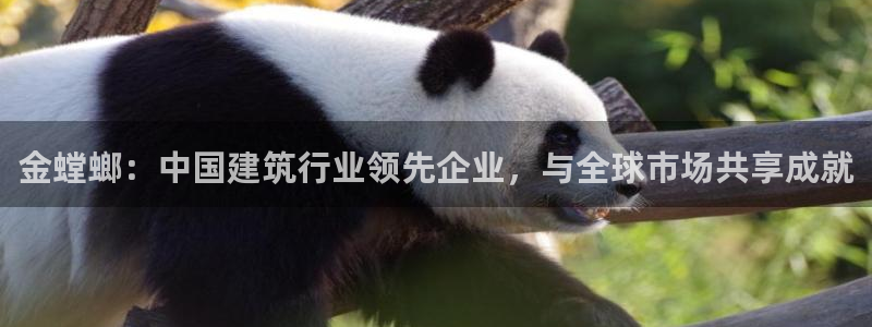 盈顺休闲娱乐室团购券