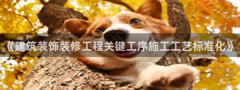 清远顺盈娱乐集团地址