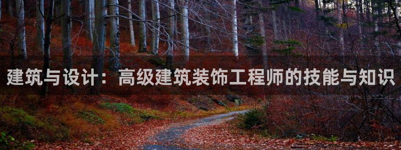 顺盈娱乐招商低判官333OO