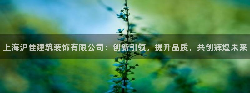 顺盈娱乐直究7276O