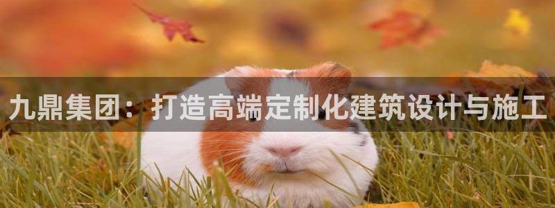 盈顺棋牌娱乐室地址查询