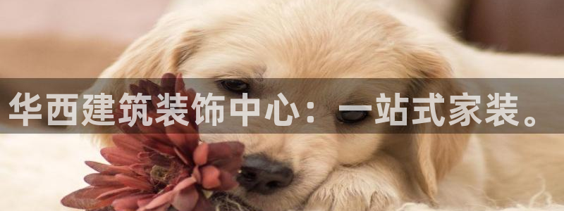 盈顺娱乐休闲室电话