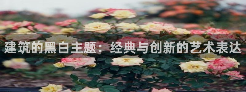 顺盈娱乐场究7276O