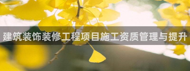 顺盈娱乐招商后原判官333OO