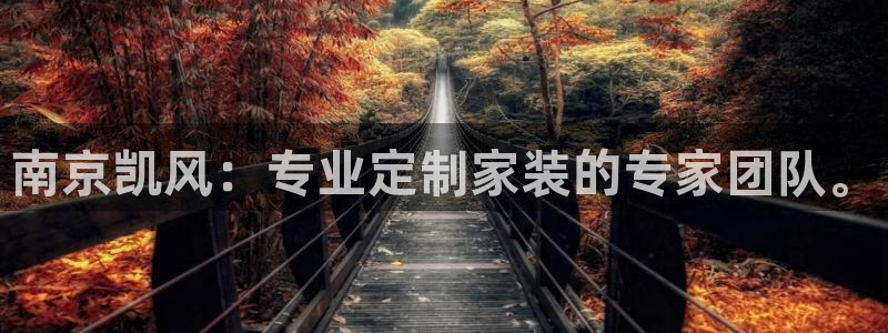 顺盈娱乐下载官网最新版