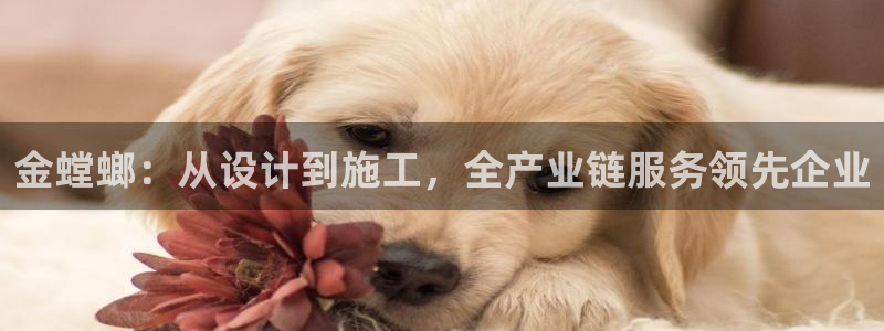 顺盈娱乐滴qv382223