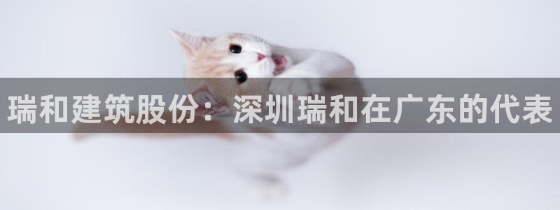 顺盈娱乐主管监判官333OO