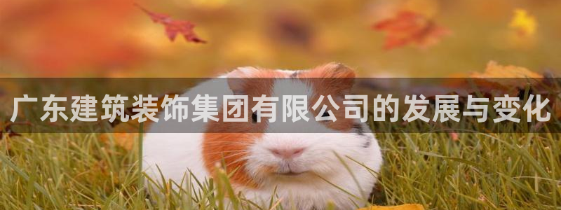 顺盈娱乐怎么退款