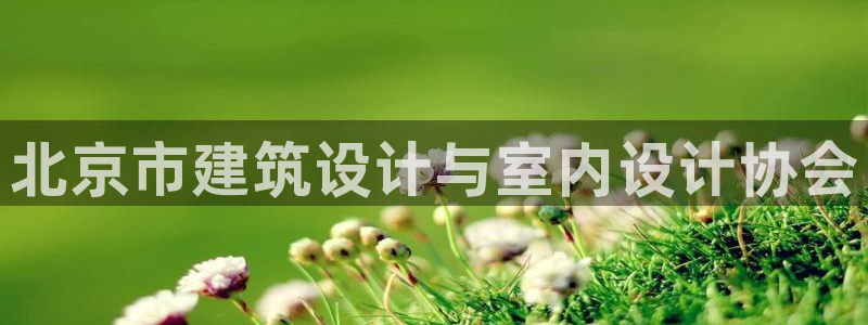 顺盈娱乐李333OO