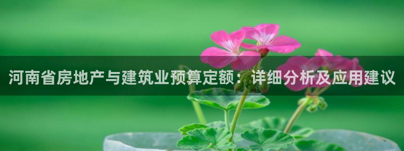 顺盈娱乐注册平台是什么