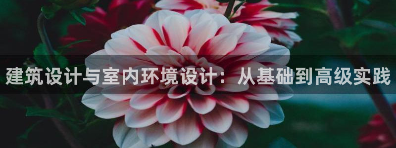 顺盈娱乐直究7276O