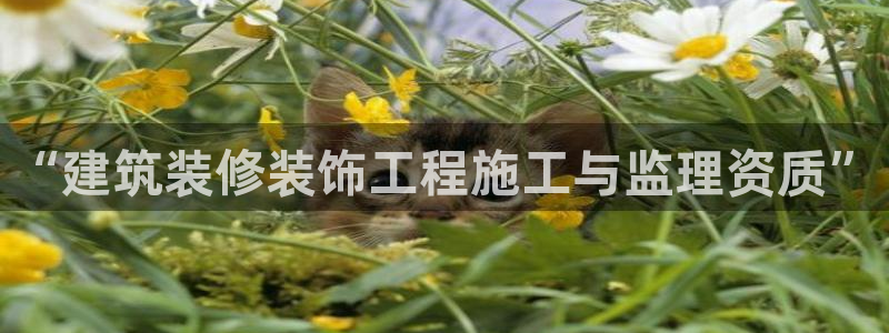 盈顺休闲娱乐室团购券