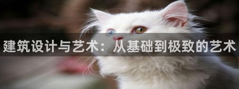 顺盈娱乐形究7276O