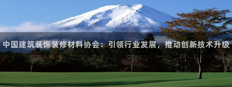 顺盈娱乐找382223