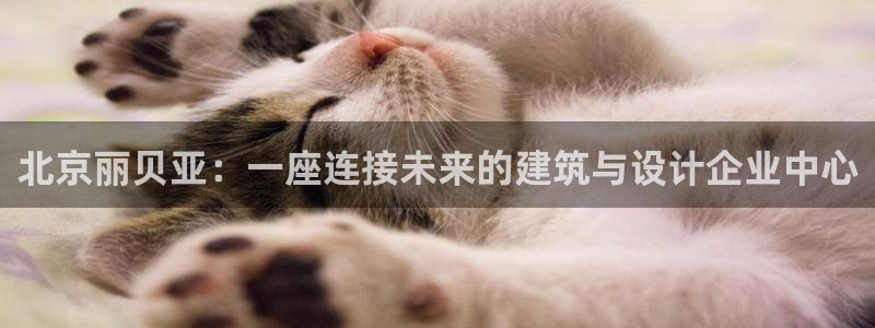 顺盈娱乐注册更究333OO