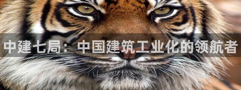 顺盈娱乐彩票怎么样啊