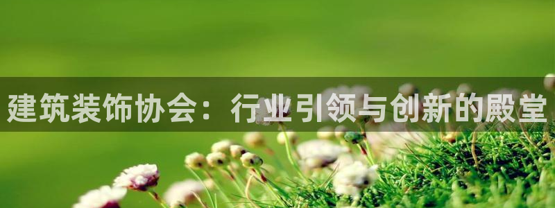 顺盈娱乐最高代理人是谁