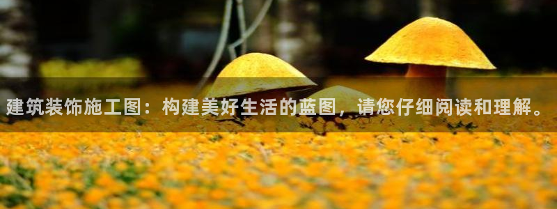 乐摇摇娱乐团购顺盈