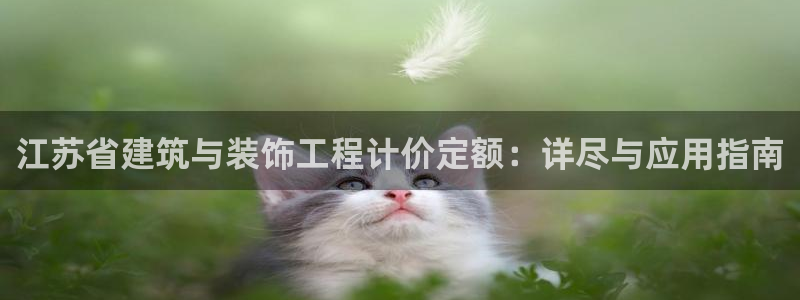 顺盈娱乐姜333OO