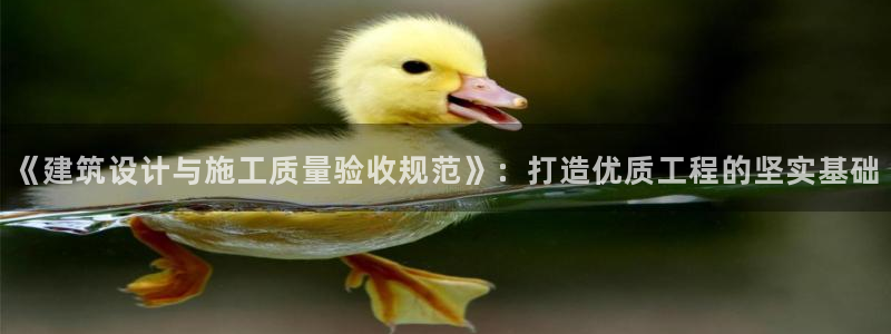 顺盈娱乐彩票官网下载