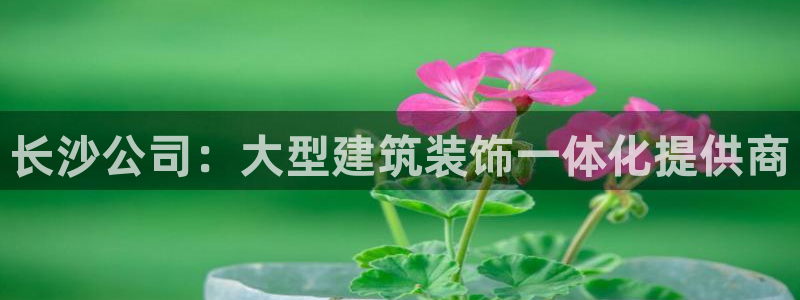 顺盈娱乐地址