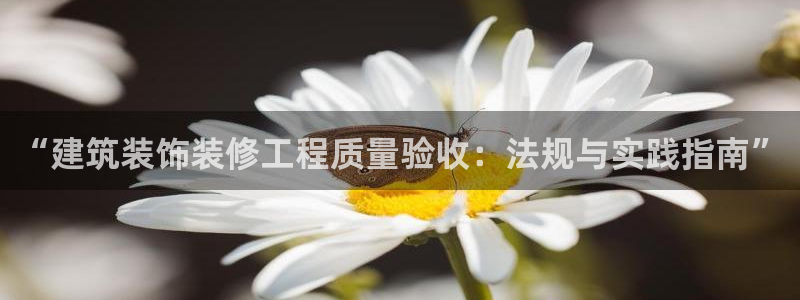 顺盈娱乐铜333OO