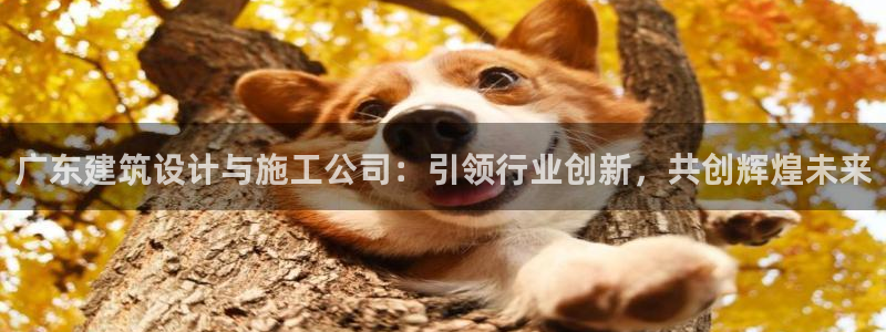 顺盈娱乐是天系列平台