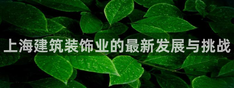顺盈娱乐登录平台官网
