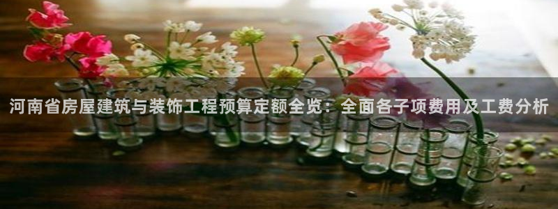 顺盈娱乐登录网址