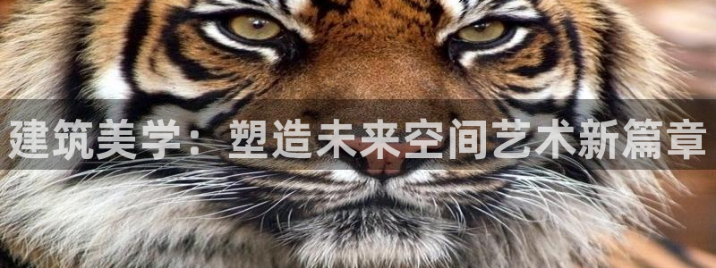 盈顺棋牌娱乐室地址查询