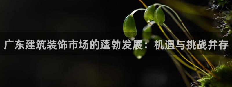 清远顺盈娱乐集团电话