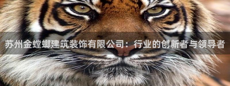 顺盈娱乐主管后原判官333OO