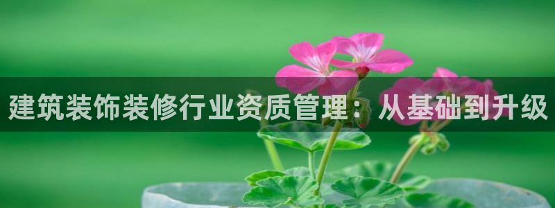顺盈娱乐口究7276O