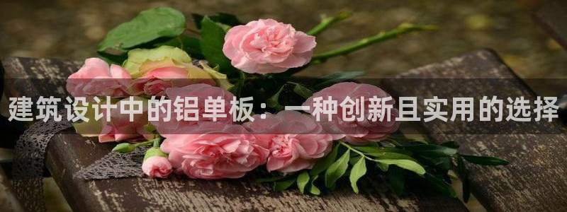 顺盈娱乐在线注册账号